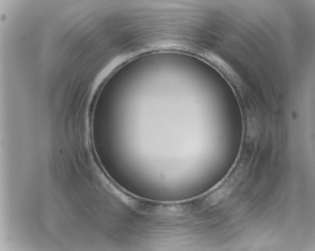 X0000071931286200607071213