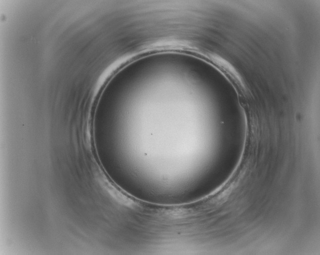 X0000071931288200607071213