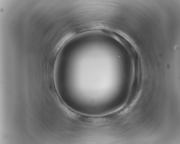 X0000071931289200607071213