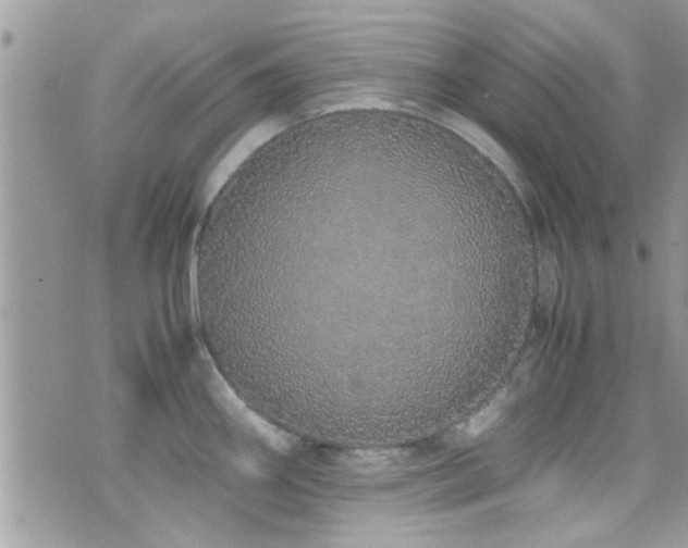 X0000071931290200607071213