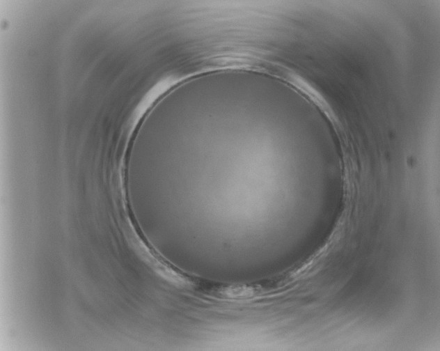 X0000071931291200607071213