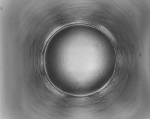 X0000071931292200607071213