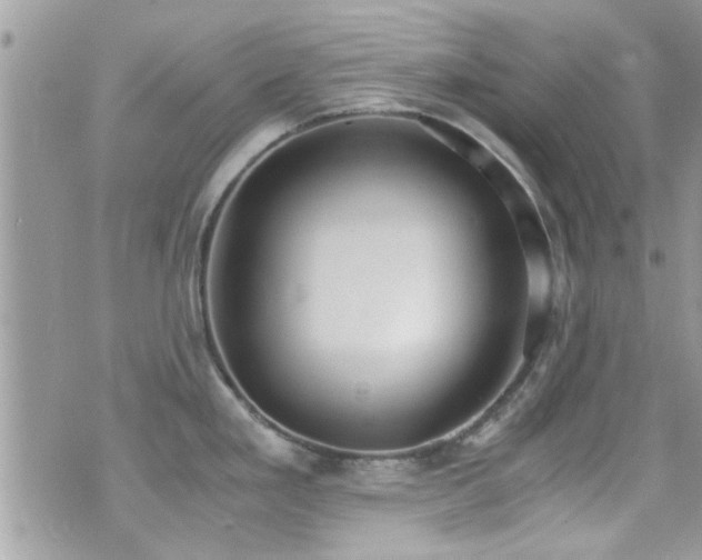 X0000071931293200607071213