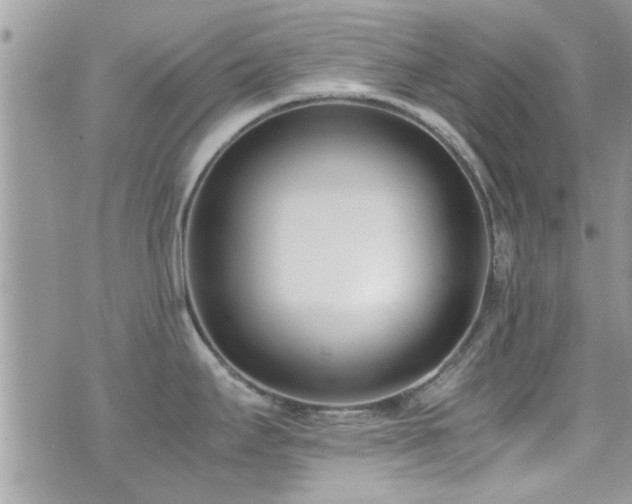 X0000071931295200607071213