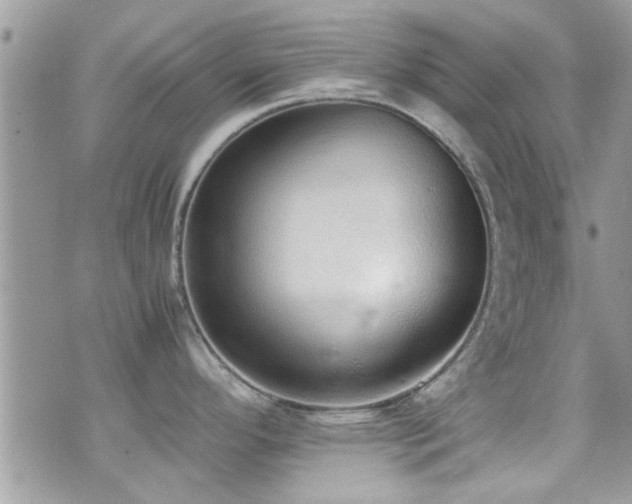 X0000071931296200607071213