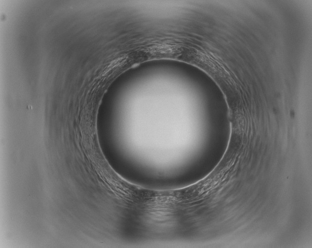 X0000071931297200607071212