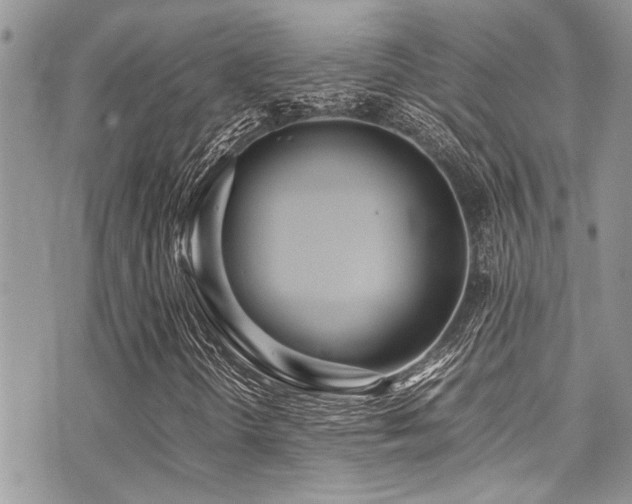 X0000071931298200607071212