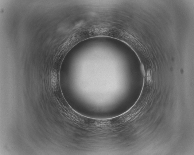 X0000071931299200607071212