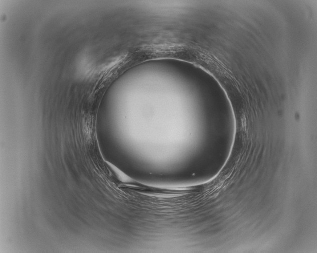 X0000071931300200607071212