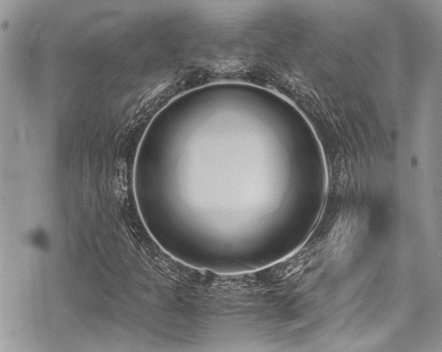 X0000071931301200607071212