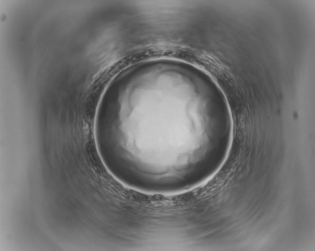 X0000071931302200607071212