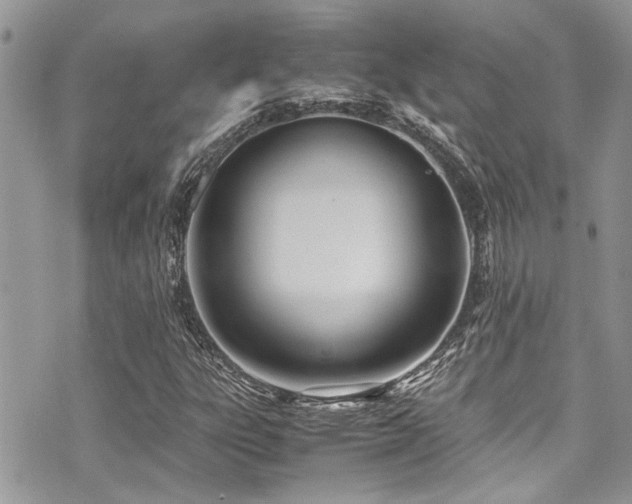 X0000071931303200607071212