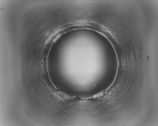 X0000071931304200607071212