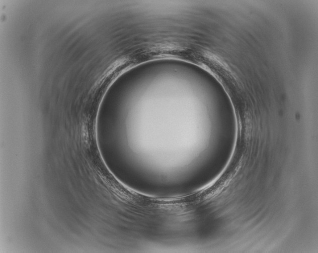 X0000071931305200607071212