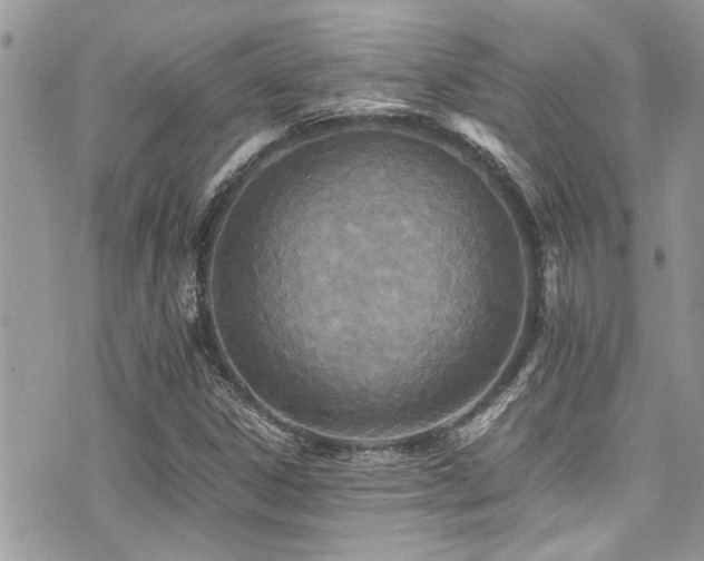 X0000071931306200607071212