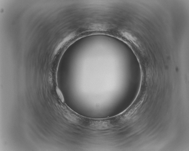 X0000071931307200607071212