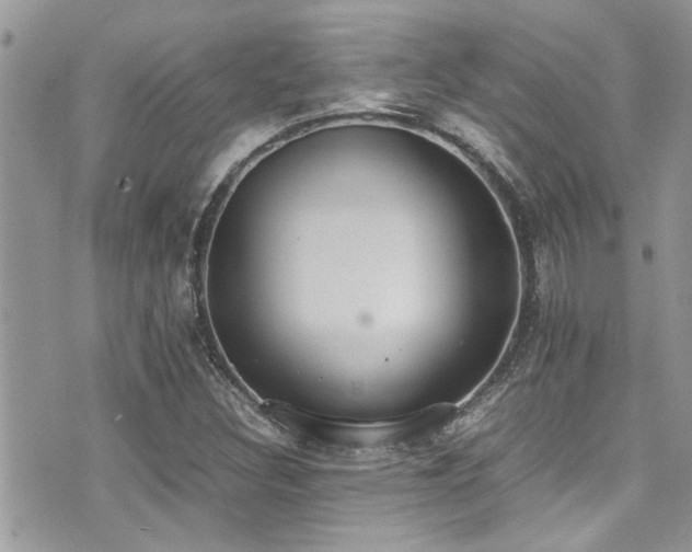 X0000071931308200607071212