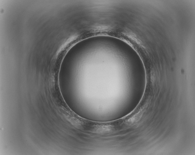 X0000071931309200607071212