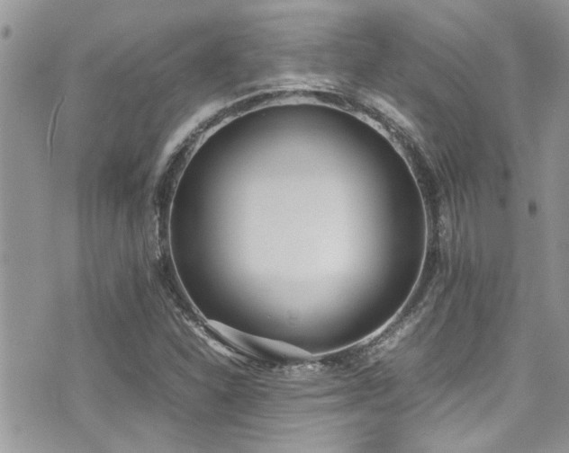 X0000071931310200607071212