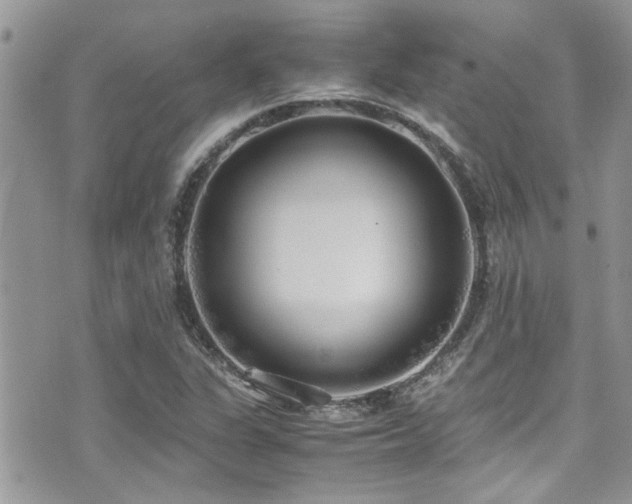 X0000071931311200607071212