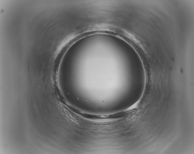 X0000071931312200607071213