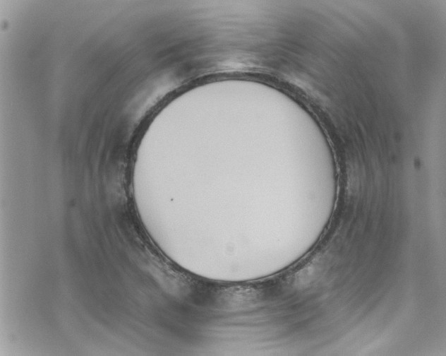 X0000071931314200607071213