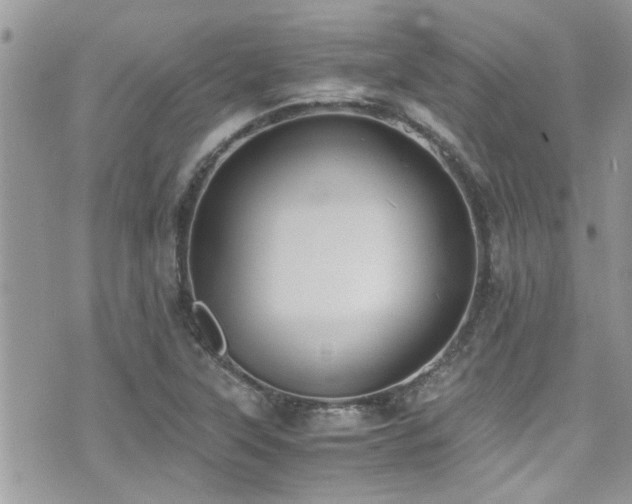 X0000071931315200607071213