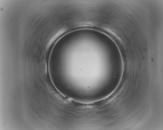 X0000071931317200607071213