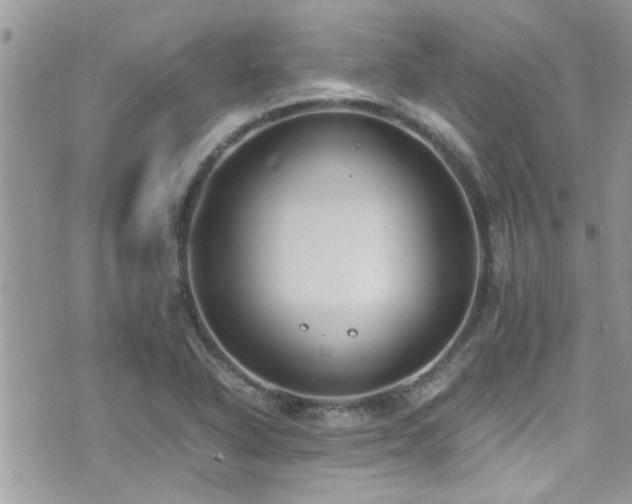 X0000071931318200607071213