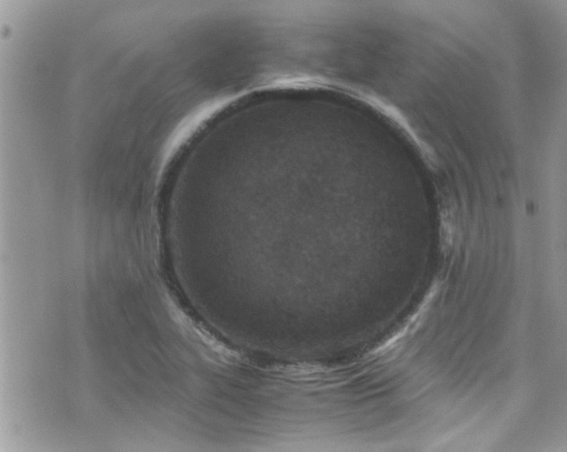 X0000071931319200607071213