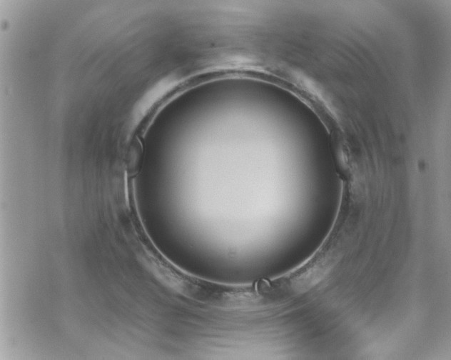 X0000071931320200607071213