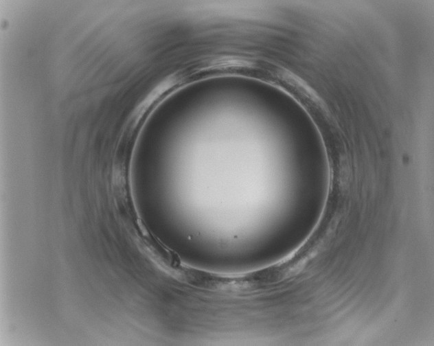 X0000071931321200607071213