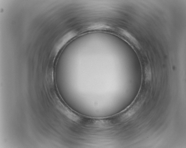 X0000071931322200607071213