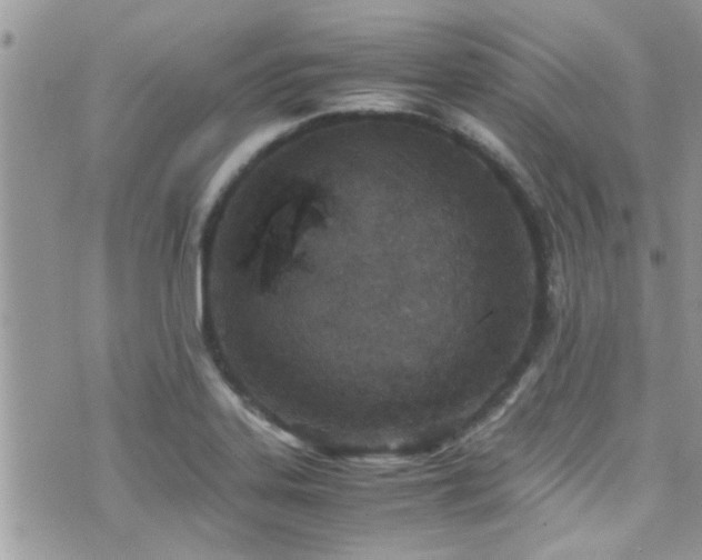 X0000071931323200607071213