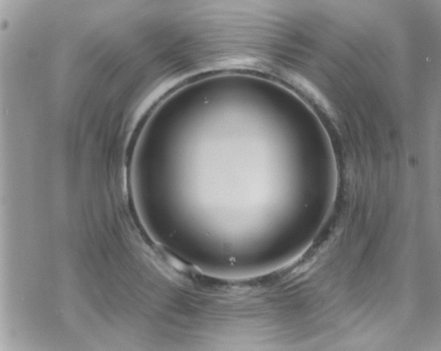 X0000071931324200607071213