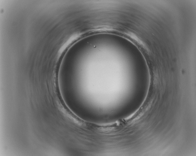 X0000071931325200607071213