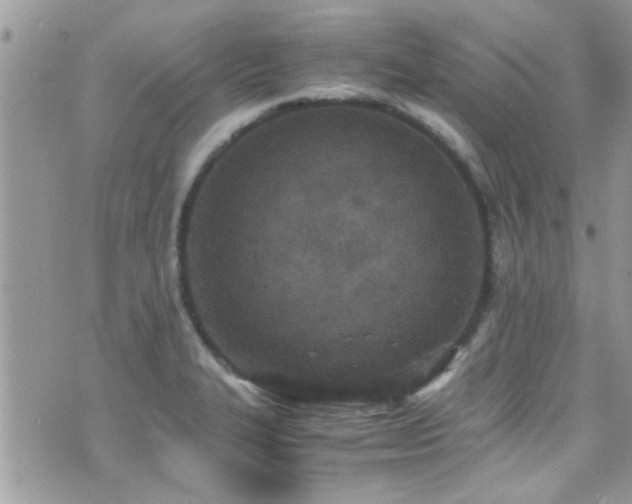 X0000071931327200607071213