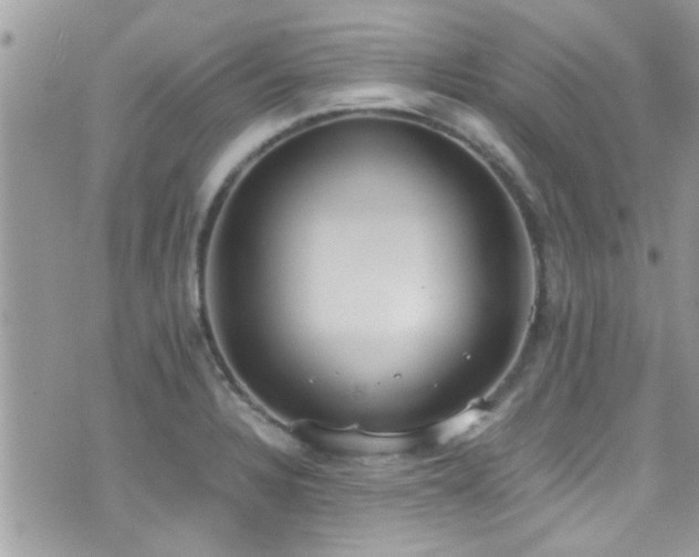 X0000071931328200607071213