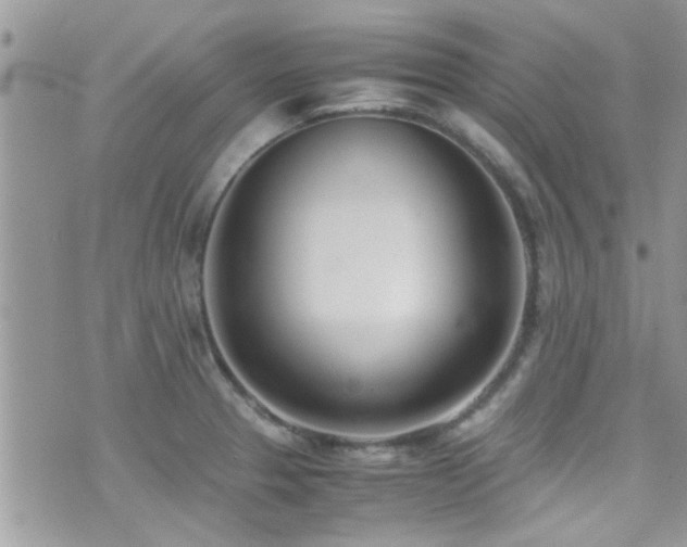 X0000071931329200607071213