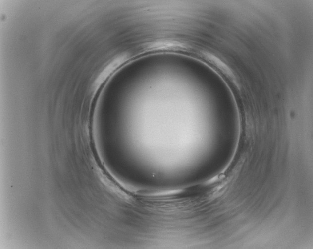 X0000071931330200607071213