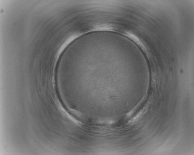 X0000071931331200607071213