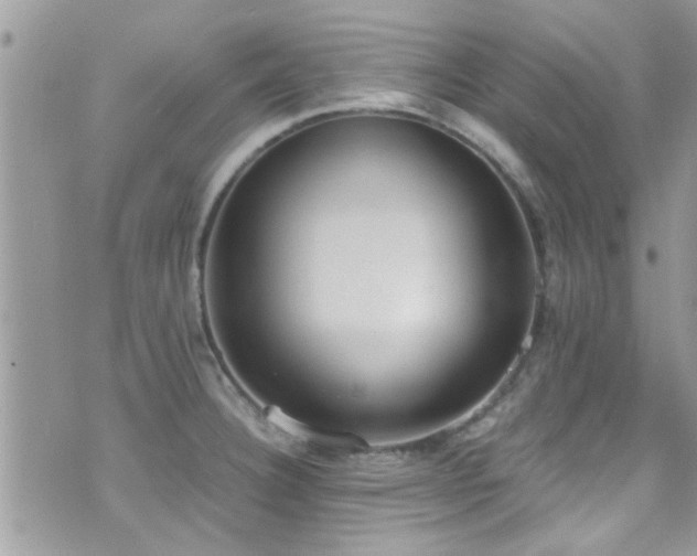 X0000071931332200607071213