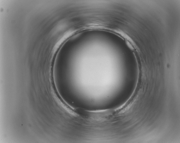 X0000071931333200607071213