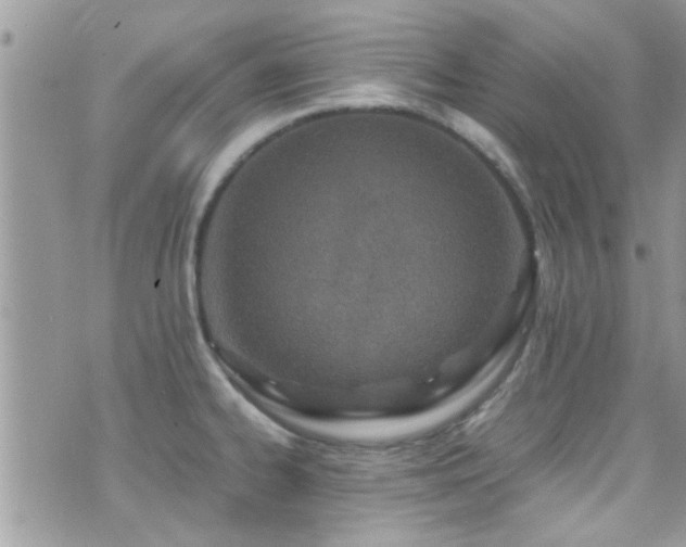 X0000071931334200607071213