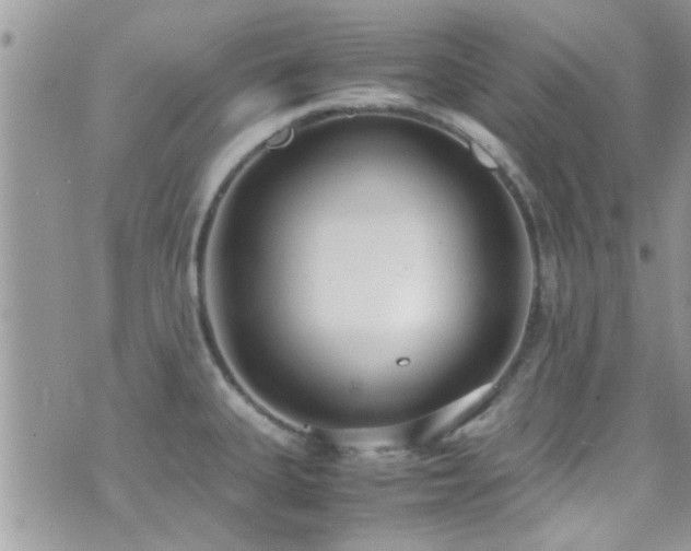 X0000071931335200607071213