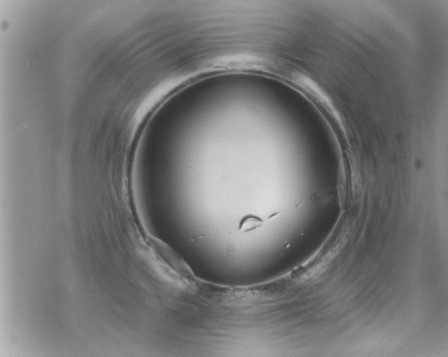 X0000071931336200607071213