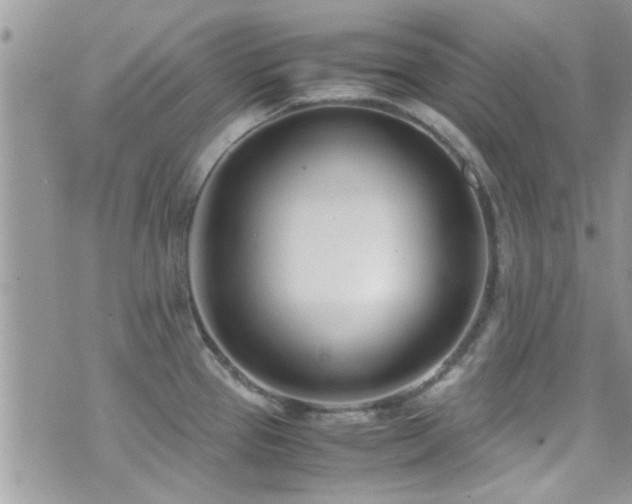 X0000071931337200607071213