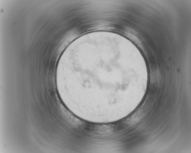 X0000071931338200607071213