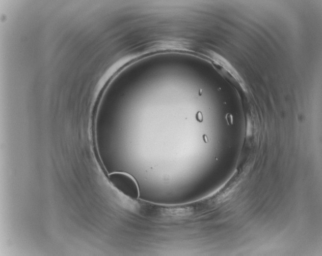 X0000071931339200607071213