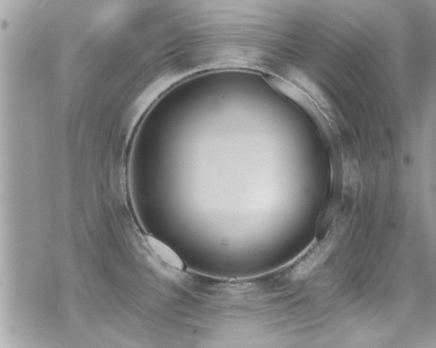 X0000071931340200607071213